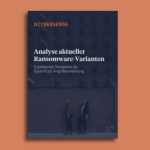 Infoflyer Cybersense