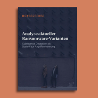 Infoflyer Cybersense