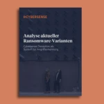 Infoflyer Cybersense