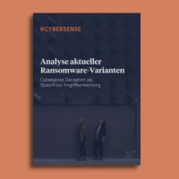 Infoflyer Cybersense