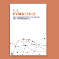 Produktflyer Cybersense